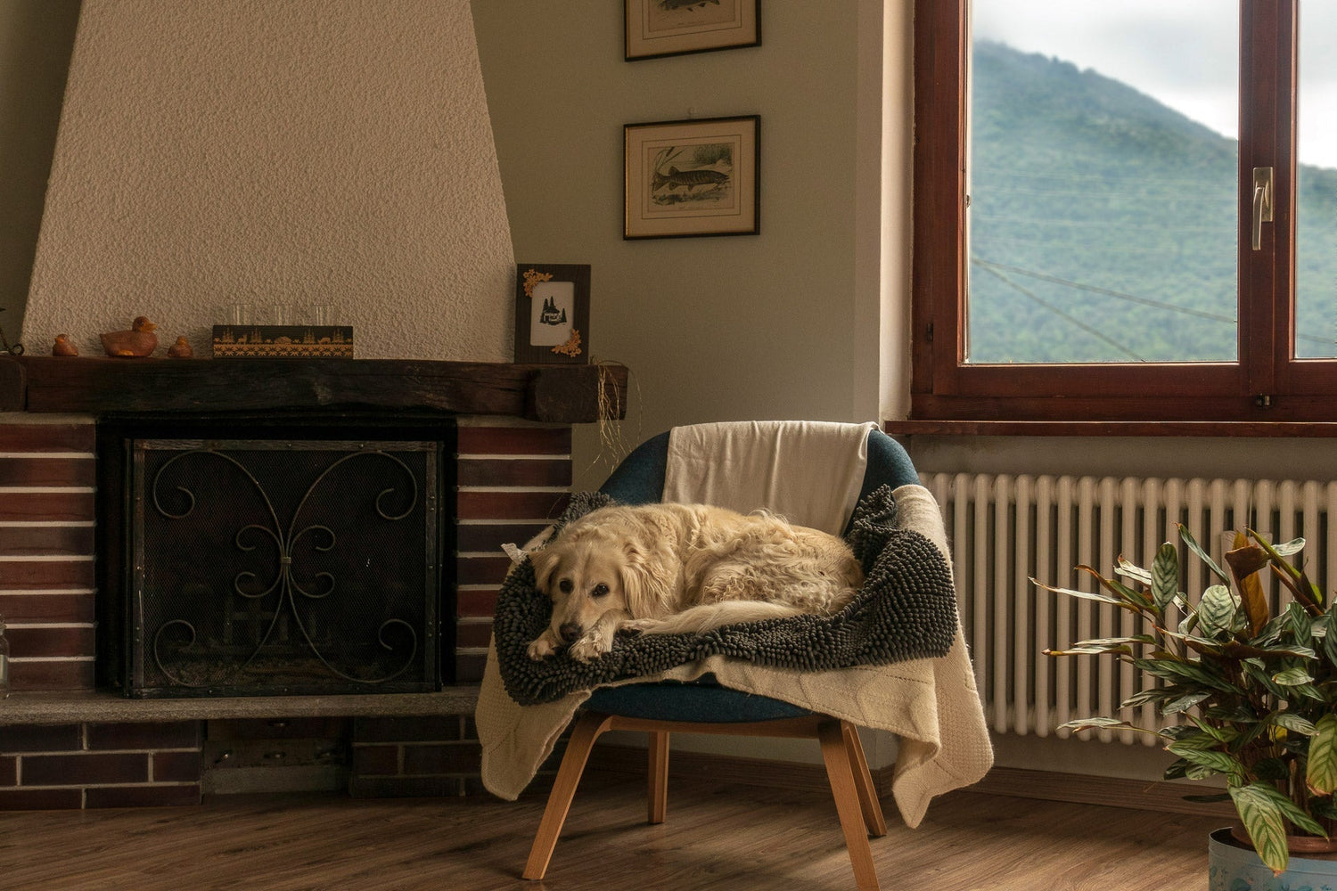 Vet du om luften hemma påverkar hur du mår?