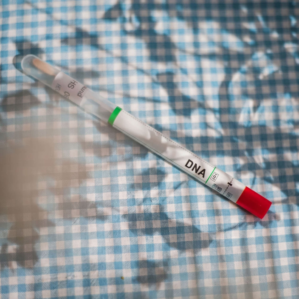 DNA Mögelanalys Damm
