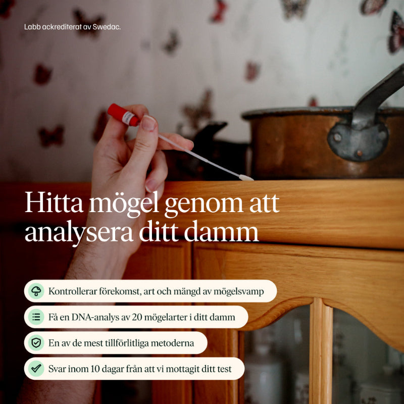 DNA Mögelanalys Damm